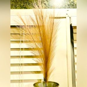 *Pampas Grass Pick, 28”, Bundle of 3